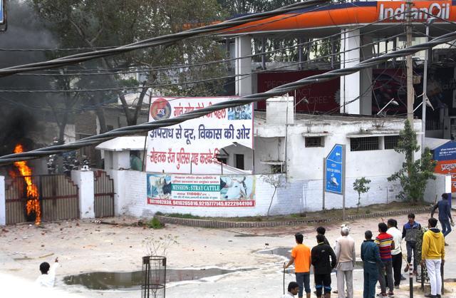 Jat students throw stones at security personnel hiding behind the main gate of Rohtak range IGP’s office on Friday. Jat students throw stones at security personnel hiding behind the main gate of Rohtak range IGP’s office on Friday.