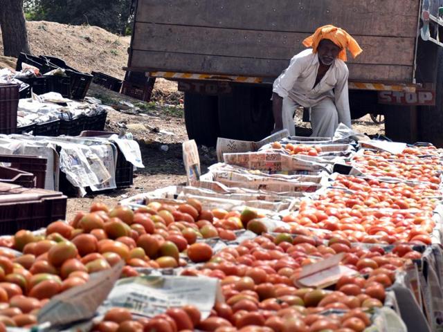 A labourer loads tomato crates onto a truck in village Malgaon in Khargone district.(HT photo)