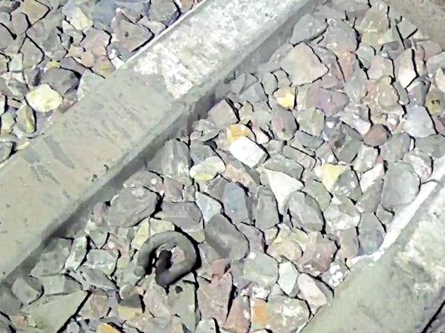 Protesters removed fish plates and clips of rail tracks near Jaghina.(HT photo)