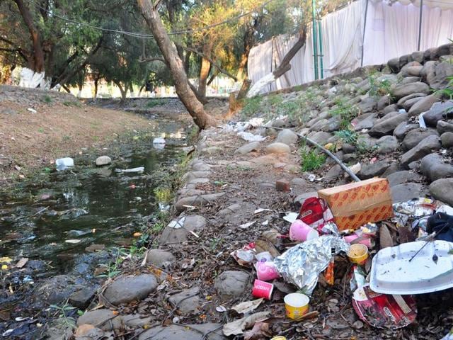 Litter strewn along the ‘choe’ running through Rose Garden in Chandigarh on Monday.(Karun Sharma/ HT)