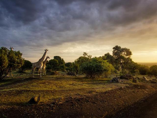 Another photo by Prakash Singh who says he loves shooting landscapes for the loneliness and the calm they hold. (Prakash Singh/2016 Sony World Photography Awards) Another photo by Prakash Singh who says he loves shooting landscapes for the loneliness and the calm they hold. (Prakash Singh/2016 Sony World Photography Awards)