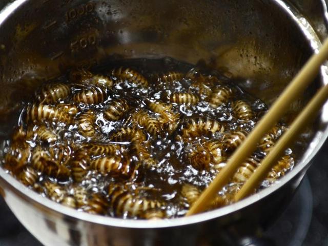 Snacking on bugs: Students at Yokohama, Japan, show how | Hindustan Times