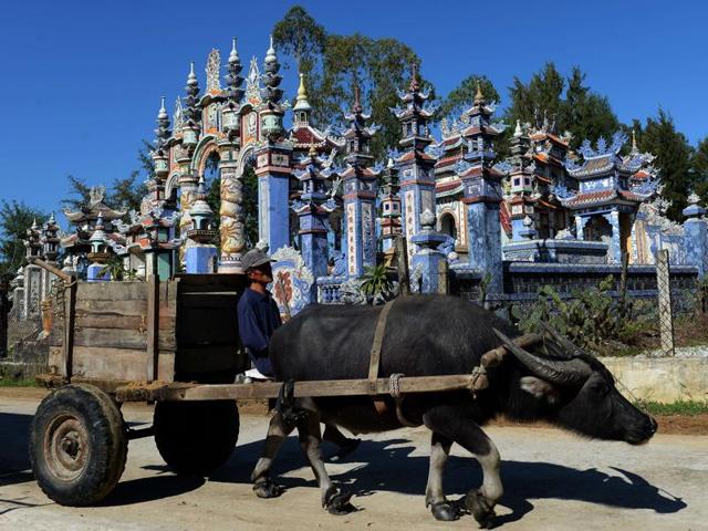 A buffalo-pulled cart moving past large tombs at the cemetery in An Bang. Local fishermen are taking the tomb tradition into the 21st century by pouring in up to $70,000 to make elaborate resting places for their kin.  (AFP) 
