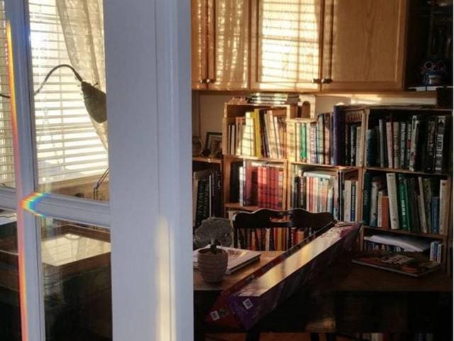 A library full of books and sunshine. (Instagram/klsmeanders) 