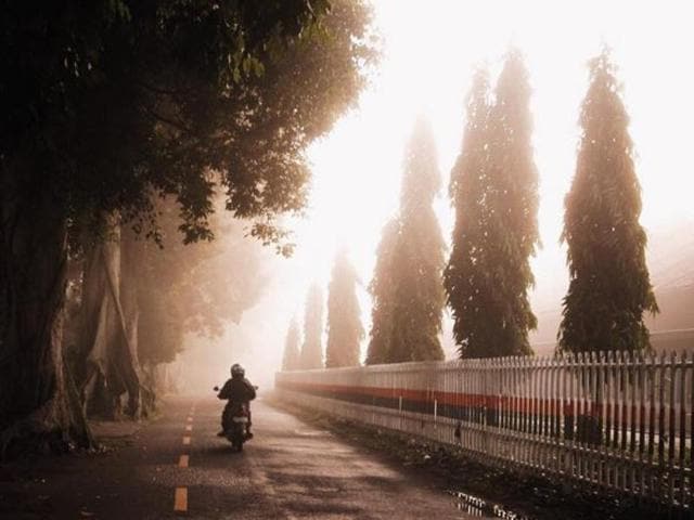 A foggy morning on Indian streets. (Instagram/mhrdhikadp) 