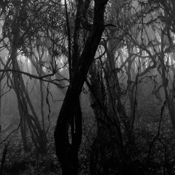 Sombhog #4, from the series Radha: A Love in Eternity, 2011 - 2014. (Swapan Nayak / Courtesy Tasveer) Sombhog #4, from the series Radha: A Love in Eternity, 2011 - 2014. (Swapan Nayak / Courtesy Tasveer)