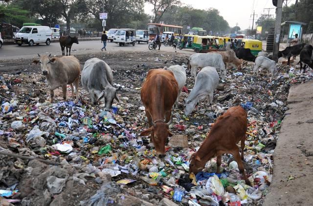 Garbage piled up at Sangam Vihar on MB Road. (S Burmaula/HT Photo)