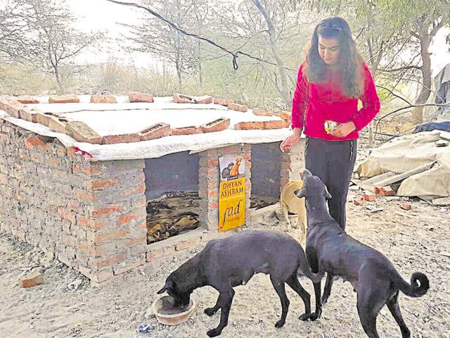 Shiksha Sagar, a class 6 student of KR Mangalam World School, constructed the shelter with the help of her family and an NGO.
