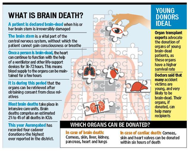 Article image Article image