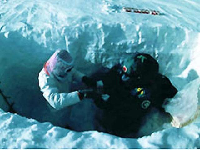 For the first time, Chinese scientists taking part in a 400-day South Pole research expedition can eat fresh vegetables grown regularly on-site. (China Internet Information Center) For the first time, Chinese scientists taking part in a 400-day South Pole research expedition can eat fresh vegetables grown regularly on-site. (China Internet Information Center)