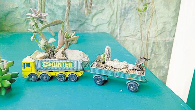 It’s time to set your toy cars from childhood in motion again, as you can use them as planters for succulent plants.