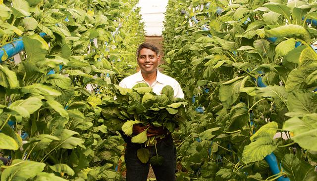 S Satyanarayanan, CEO of the Chennai-based Fruitmarts, markets Super Greens’ produce, mainly to five-star hotels (U Karunakaran)