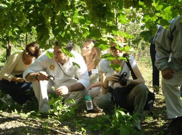 American wine experts at a grape farm of Patel winery in Titari village.(HT photo) American wine experts at a grape farm of Patel winery in Titari village.(HT photo)