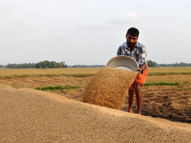 Jaitley also said a dedicated long-term irrigation fund will be created in NABARD with a corpus of Rs 20,000 crore. (HT Photo) 