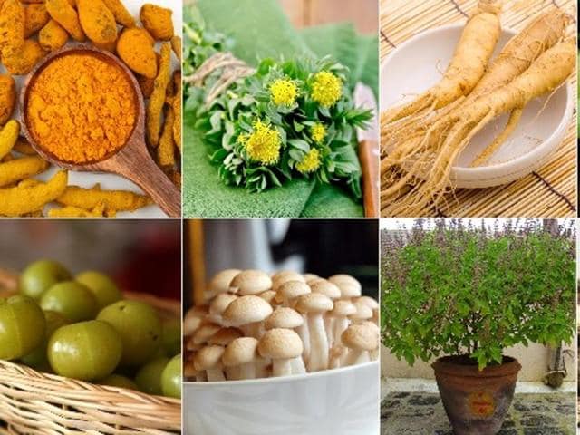 As more and more people opt for natural remedies, the demand for ‘adaptogens’ is at an all-time high. Experts reveal their benefits.(Pinterest)