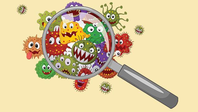 WHO has warned of a “post-antibiotic era” in which common infections will become killers once more. (Shutterstock) WHO has warned of a “post-antibiotic era” in which common infections will become killers once more. (Shutterstock)