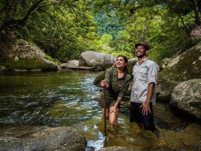 Do you also want to visit Mossman Gorge, Queensland? (Twitter) 