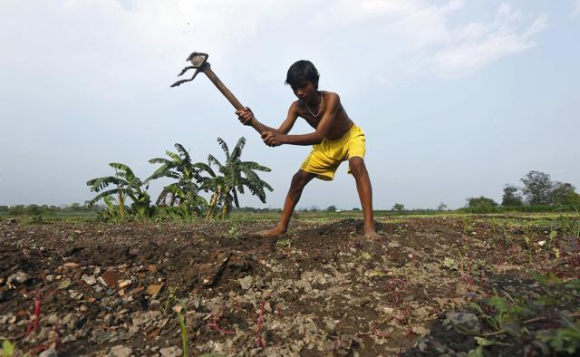 Arun Jaitley’s speech delved into agriculture early as the budget promised to double farm incomes in just over five years. (Reuters Photo) Arun Jaitley’s speech delved into agriculture early as the budget promised to double farm incomes in just over five years. (Reuters Photo)