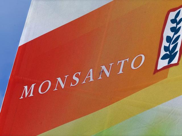 Monsanto has threatened to pull out of India if the government imposed a big cut in royalties that local firms pay for its genetically modified cotton seeds.(AP File Photo)