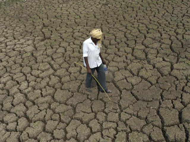 A shepherd walks on the bed of the dried-up Osman Sagar Lake on the outskirts of Hyderabad on Friday. The estimate based on a modelling study said climate change could kill more than 500,000 adults worldwide in 2050.(AFP) A shepherd walks on the bed of the dried-up Osman Sagar Lake on the outskirts of Hyderabad on Friday. The estimate based on a modelling study said climate change could kill more than 500,000 adults worldwide in 2050.(AFP)
