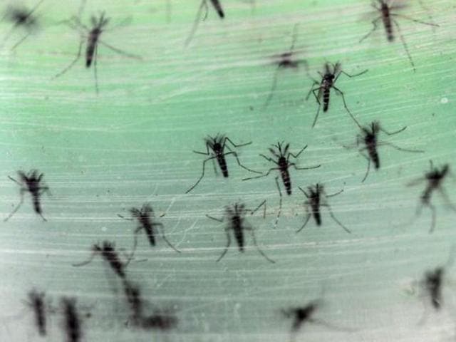 A 15-year-old boy got infected in Cebu city in the central Philippines in 2012, but recovered fully after three weeks of rest and treatment. (Reuters File Photo) A 15-year-old boy got infected in Cebu city in the central Philippines in 2012, but recovered fully after three weeks of rest and treatment. (Reuters File Photo)