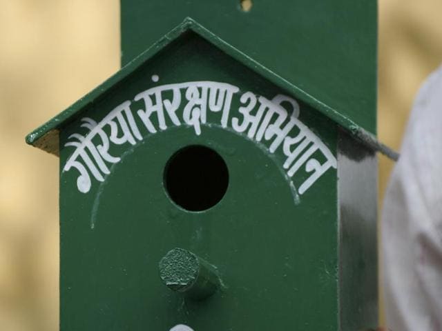 A 1,000 ‘sparrow boxes’ are to be distributed to school and college students to serve as nests for the bird. (Burhaan Kinu/HT Photo) A 1,000 ‘sparrow boxes’ are to be distributed to school and college students to serve as nests for the bird. (Burhaan Kinu/HT Photo)