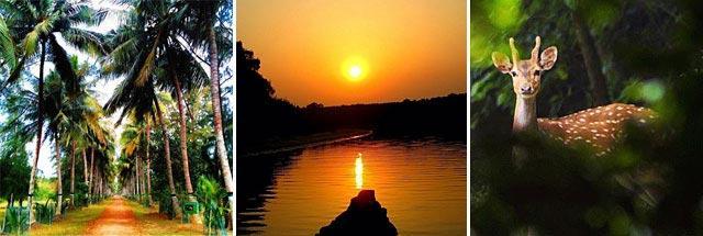 Nature lovers, this can surely be your cup of tea. We assure you. (Instagram)