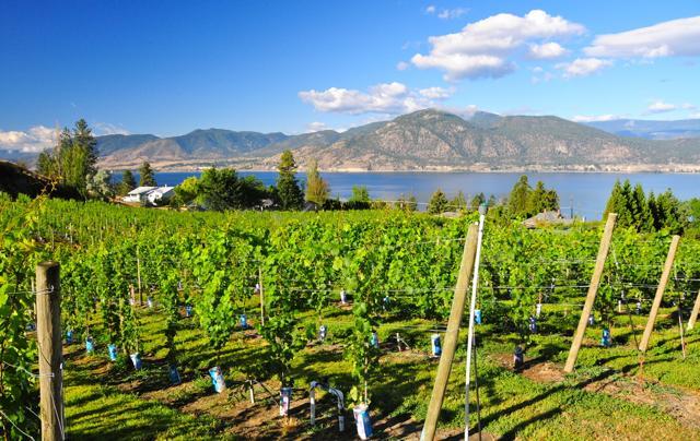 Okanagan Valley, British Columbia: Travel + Leisure named British Columbia’s wine country, Okanagan Valley, one of the ‘Best Places to Travel’ in 2016 for its “stark beauty” and sophisticated food and wine scene. (AFP)