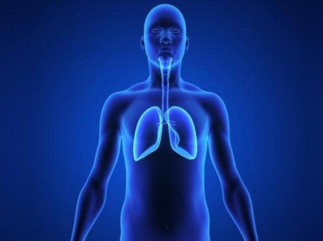 In urban Punjab (SAS Nagar), lung cancer is leading among men; on the other hand, in rural Punjab (Mansa and Sangrur), oesophageal cancer is most common among men.(Shutterstock)