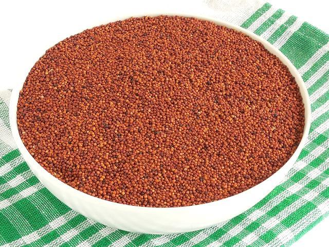 From the panrty: Ragi. From the panrty: Ragi.