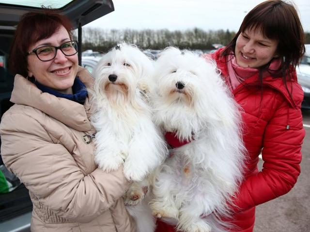 Dog owners pose with Coton de Tulear pets participating in the event. (AFP) 