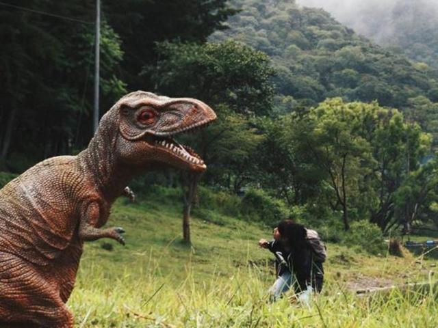 ‘Finding new worlds just around the corner, trying to make friends but they keep thinking you wanna eat them.’ A toy dinosaur looks like a real one from the right perspective. (Instagram/el.rex) 