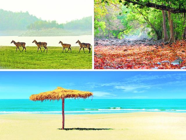 For the long weekend next week, don’t forget to check out these places near Mumbai. For the long weekend next week, don’t forget to check out these places near Mumbai.