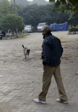 Amitabh Bachchan’s only encounter with another living being. Amitabh Bachchan’s only encounter with another living being.
