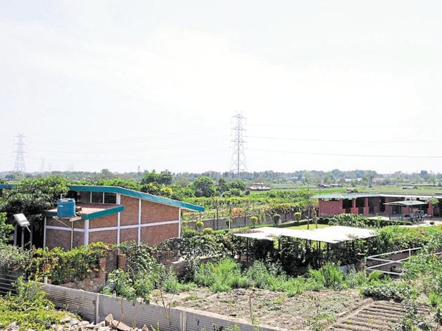 When the air force stopped using the floodplains, now under the Noida jurisdiction, farmers started agricultural activities. Later, the land mafia grabbed the land and constructed farmhouses. (Sunil Ghosh/HT Photo) When the air force stopped using the floodplains, now under the Noida jurisdiction, farmers started agricultural activities. Later, the land mafia grabbed the land and constructed farmhouses. (Sunil Ghosh/HT Photo)