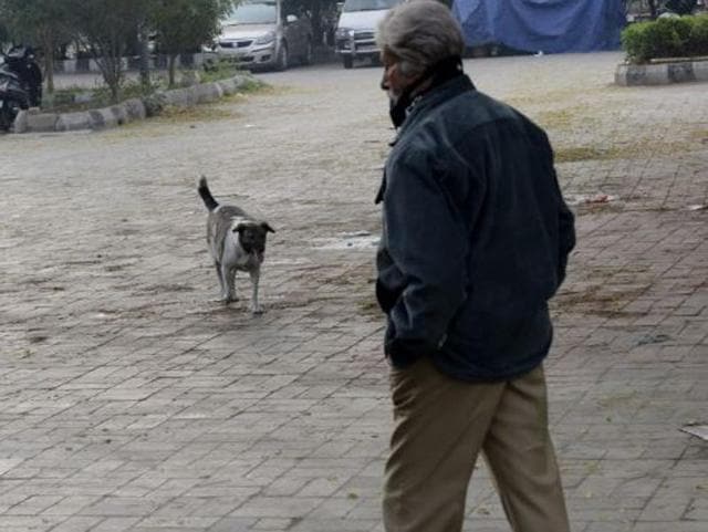 Interestingly, nobody noticed Amitabh Bachchan due to his make-up. (Amitabh Bachchan’s blog) 