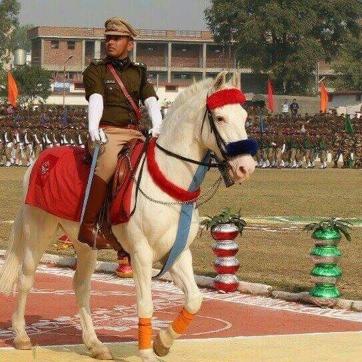 The last time Shaktiman participated in the parade was on Nov 9, 2015, on the occasion of the state’s 15th foundation day. (HT File Photo) The last time Shaktiman participated in the parade was on Nov 9, 2015, on the occasion of the state’s 15th foundation day. (HT File Photo)