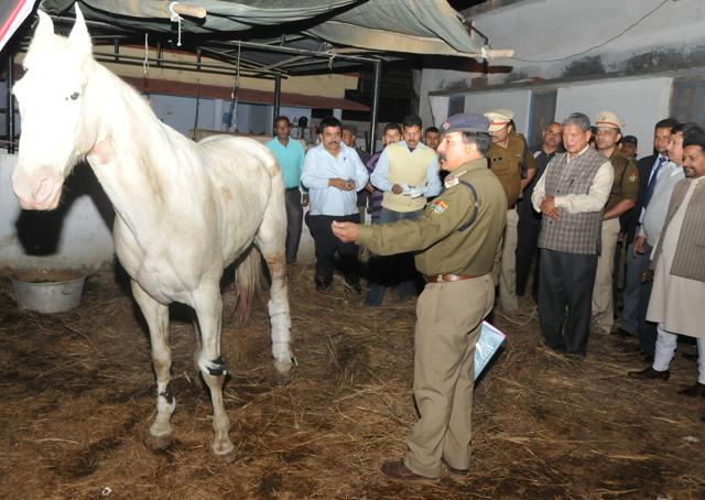 Hours after Shaktiman was injured, chief minister Harish Rawat visited the animal at its stable. (HT Photo) Hours after Shaktiman was injured, chief minister Harish Rawat visited the animal at its stable. (HT Photo)