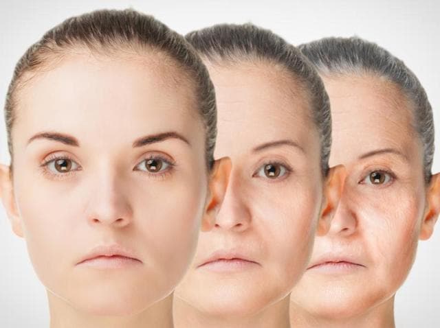 Researchers believe the findings have important implications not only for slowing the ageing process, but also for preventing certain diseases associated with ageing, including cancer.(Shutterstock)