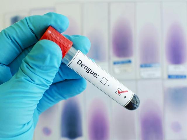 Experimental dengue vaccine 100% effective, claim scientists | Health ...
