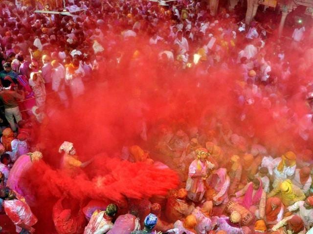 Barsana’s temples come alive as priests throw laddoos at devotees, followed by gulal. Seen here, devotees toss  gulal at Sriji temple, Barsana. (PTI) 