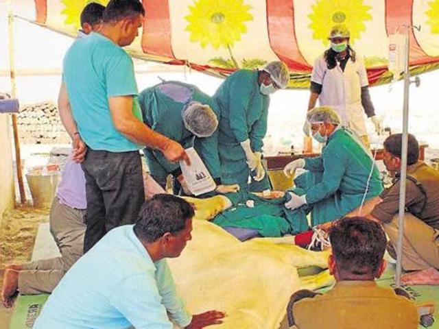 BJP MLA Ganesh Joshi was accused of beating up Shaktiman after a viral video triggered nationwide condemnation. (Vinay Santosh Kumar/Hindustan Times) BJP MLA Ganesh Joshi was accused of beating up Shaktiman after a viral video triggered nationwide condemnation. (Vinay Santosh Kumar/Hindustan Times)