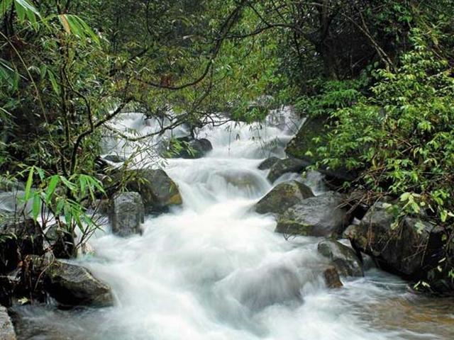 Vythiri, Wayanad: Located at the southern tip of the Deccan plateau in North Kerala, it is blessed with the most amazing vistas — lofty ridges criss-crossed with dense forest, tangled jungles and deep valleys. River Kabini that forms one of the main tributaries of Kaveri is also an attraction. (vythiriresort.com) Vythiri, Wayanad: Located at the southern tip of the Deccan plateau in North Kerala, it is blessed with the most amazing vistas — lofty ridges criss-crossed with dense forest, tangled jungles and deep valleys. River Kabini that forms one of the main tributaries of Kaveri is also an attraction. (vythiriresort.com)