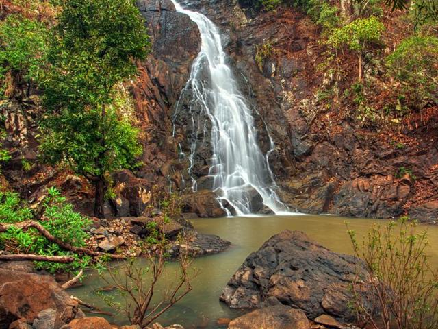 Simlipal, Odisha: The Simlipal National Park in north Odisha is a perfect weekend getaway from Kolkata. About 240 km from the city, it can be easily reached by road and rail. Majorly known for its tigers, the park is a treasure trove for wildlife junkies. However, it is prone to cerebral malaria. So plan your trip accordingly. (Shutterstock) Simlipal, Odisha: The Simlipal National Park in north Odisha is a perfect weekend getaway from Kolkata. About 240 km from the city, it can be easily reached by road and rail. Majorly known for its tigers, the park is a treasure trove for wildlife junkies. However, it is prone to cerebral malaria. So plan your trip accordingly. (Shutterstock)