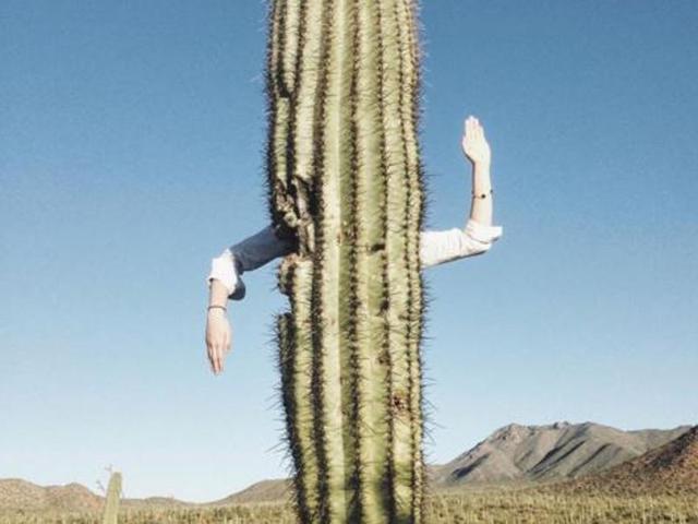 ‘This poor cactus had no arms so we gave it a pair.’ (Instagram/ethan.f_) 