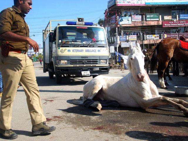 MLA Ganesh Joshi Joshi was arrested on Friday morning from a hotel for allegedly breaking 14-year-old Shaktiman’s leg. (Vinay Santosh Kumar/HT Photo) MLA Ganesh Joshi Joshi was arrested on Friday morning from a hotel for allegedly breaking 14-year-old Shaktiman’s leg. (Vinay Santosh Kumar/HT Photo)