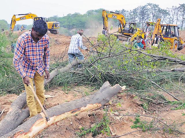 Locals cutting trees felled during the land-filling process at Jhansla village in Patiala. (Bharat Bhushan/HT Photo) Locals cutting trees felled during the land-filling process at Jhansla village in Patiala. (Bharat Bhushan/HT Photo)