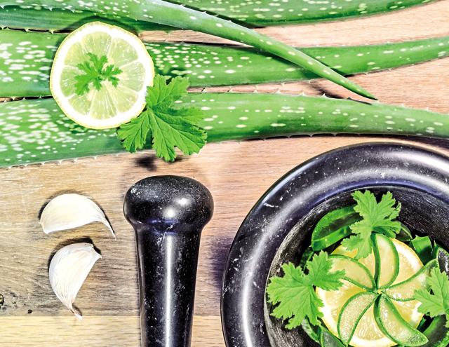 Aloe vera juice soothes the irritated stomach lining. Mint is good to relax the intestine and provide relief from reflux. (SHUTTERSTOCK)