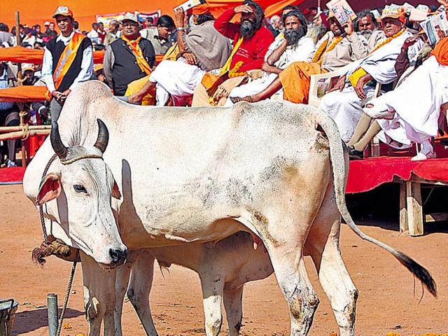 A cattle trader and a minor boy were found hanging from a tree in Jharkhand. The incident has triggered tension.(HT file photo)