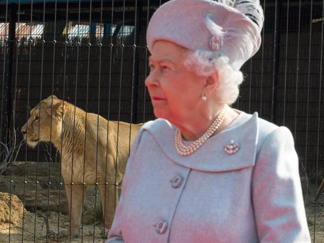 Britain's Queen Elizabeth II is pictured as she attends the official opening of ‘The Land Of The Lions’ exhibit at London Zoo. (AFP Photo)